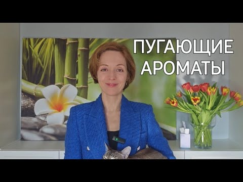 АРОМАТЫ, КОТОРЫЕ ДЕРЖАТ ЛЮДЕЙ НА РАССТОЯНИИ