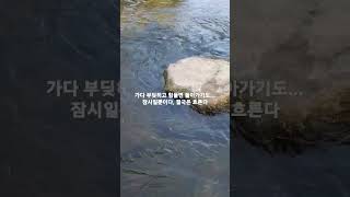 [자연경치] 하천! 흐르는 물의 교훈! 잠시 돌아갈뿐 결국은 흐른다! 자연의 교훈! #shorts