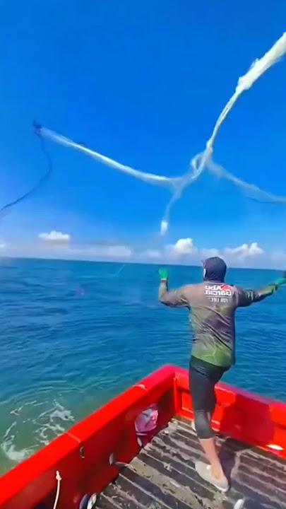 Menjala ikan di laut #nelayan #ikanbesar #menangkapikan