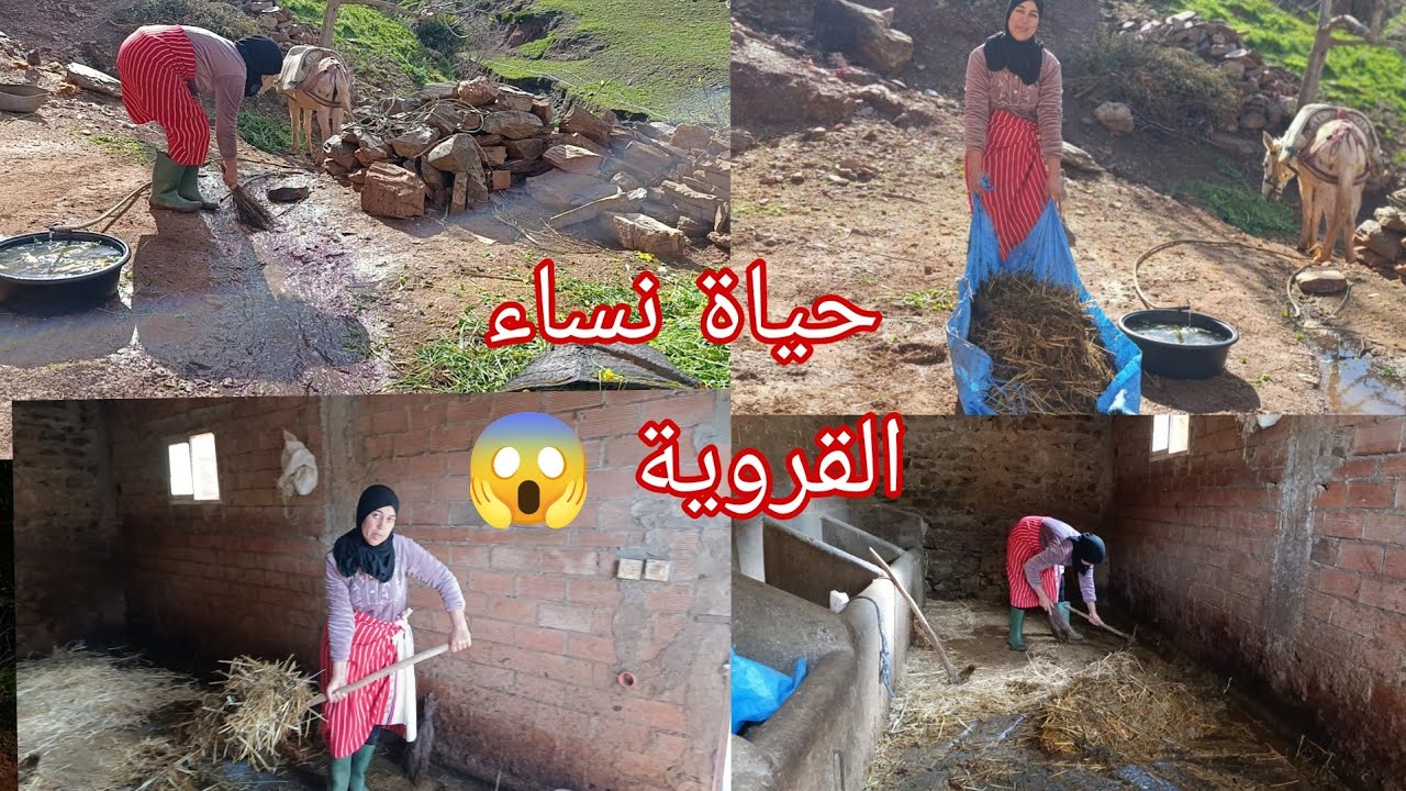 المعاناة الشديدة في البلاد البعيدة :هكذا نقظي أيامنا بالروتينات والطاقة الإجابية