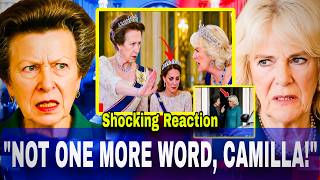 Princess Anne SHUTS DOWN Windsor Dinner After Camilla Leaves Princess Catherine In Tears!