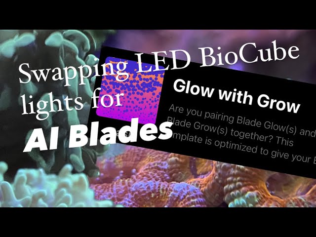 Aquaillumination Coral Glow Blade LED