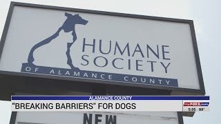 Alamance County Humane Society 'breaking barriers' for dogs