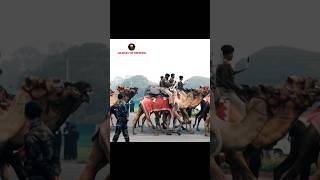 Jat Regiment Soliders Camels Passing Out Prade