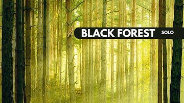 Black Forest | Solo Board Game Tutorial and Playthrough