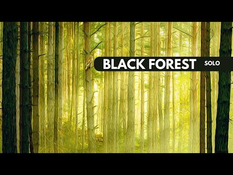 Black Forest | Solo Board Game Tutorial and Playthrough