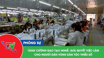 Tăng cường đào tạo nghề, giải quyết việc làm cho người dân vùng dân tộc miền núi