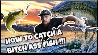 CATCHING CATFISH in Los Angeles