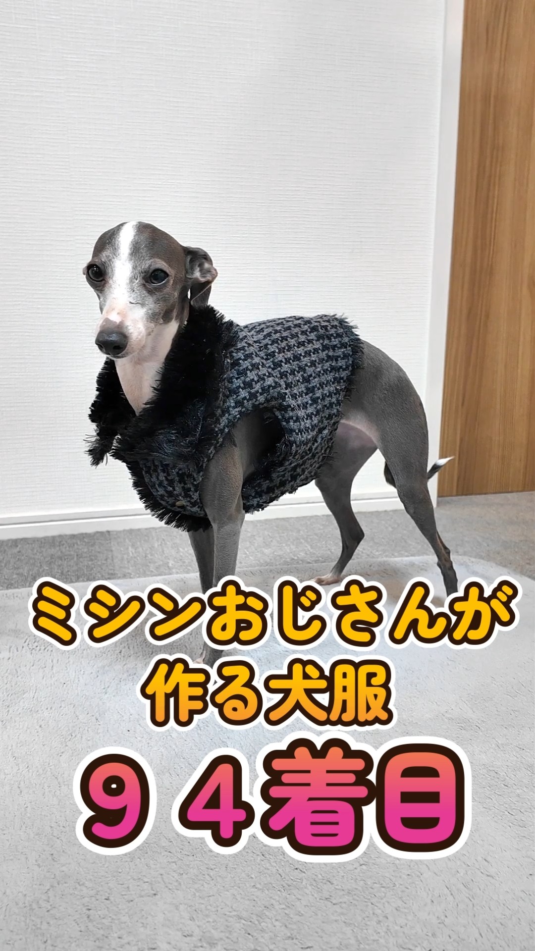 おっさんが作る犬服 94着目 : ウールファーベストの製作 #shorts
