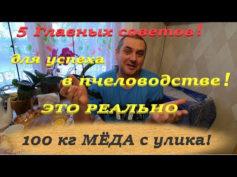 Как взять 100 кг мёда с семьи пчёл! 5 советов начинающим для успеха в пчеловодстве из моего опыта!