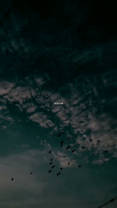 Dil na jaaneya💗|| Arijit singh ||#lyrics #music #song #shorts