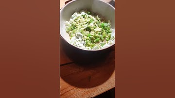 Thumbnail of Make Scallion Pancakes