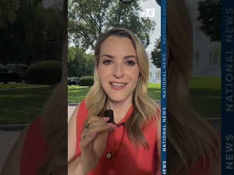 Video Is Trump decorating the White House with super glue?