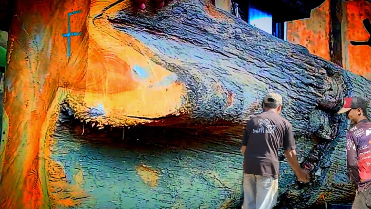 Sawing and Cutting Giant Wood Full of Challenges || Sawmill - YouTube