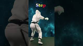 POP 360 SIDE KICK TUTORIAL