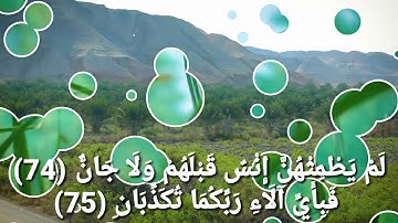 آيات من سورة الرحمن 💗 لفضيله الشيخ نورين محمد صديق رحمه الله 💓