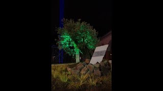 Giornata nazionale in memoria delle vittime Covid-19 - 18 Marzo 2021 Giornata nazionale in memoria delle vittime Covid-19 - 18 Marzo 2021