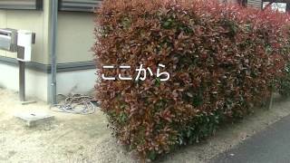 100均DIY　超激安カーゲート　100 average DIY Super Cheap Kerr