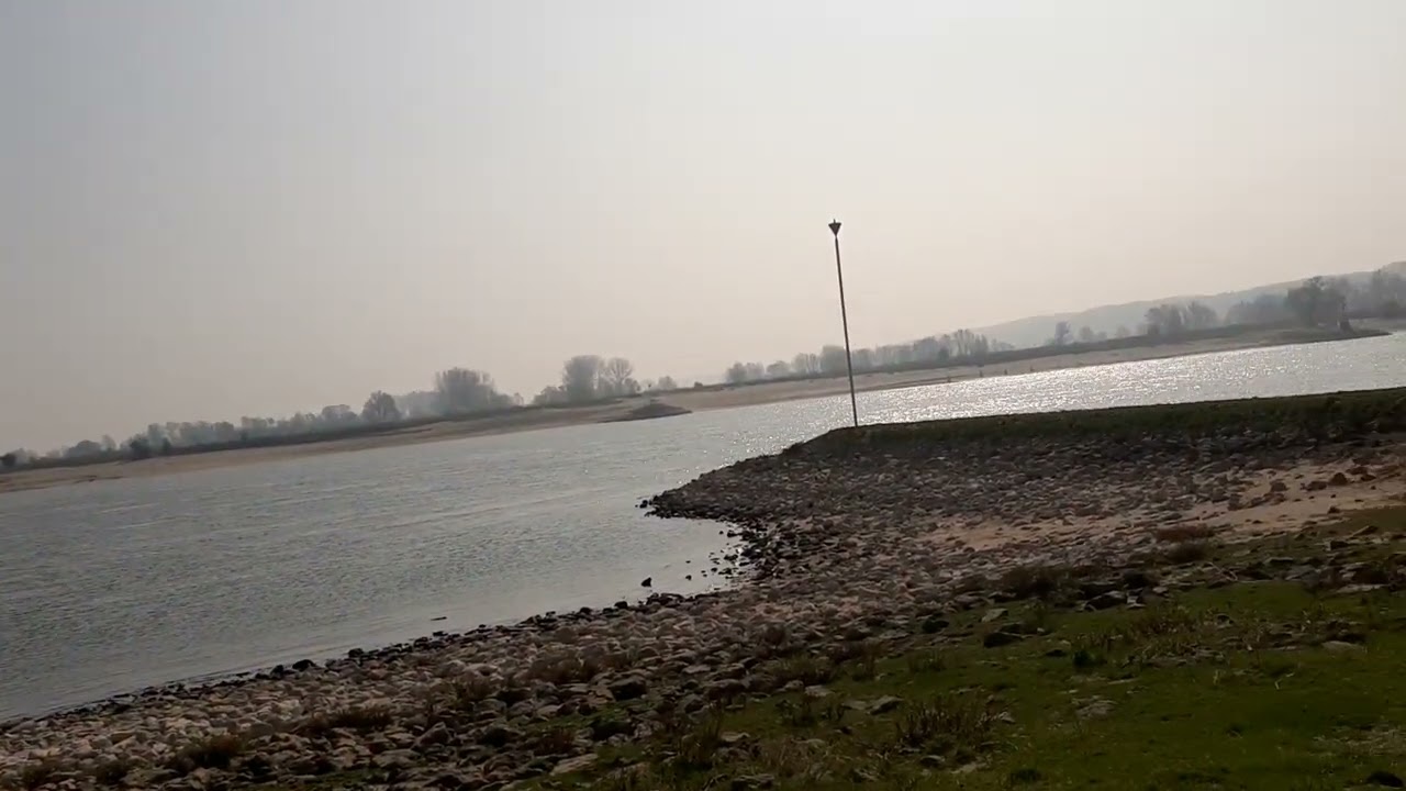 De Westerse Weg: De Weg van het Intellect & Wetenschap