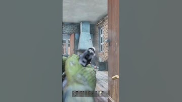 Roasted DayZ Chefs — Loot Time! #dayz #pvp #survivalmode