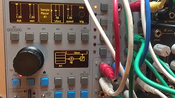 Getting started with the ER-301 #15 - Using a Sampler Player and Looper with a Shared Buffer file