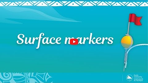 2 - FADs Surface Markers