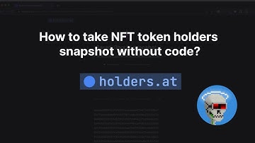 How to take NFT holder snapshot without code?