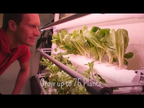 Grow Fresh Food with OPCOM Farm Hydroponic Growing Systems