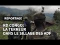 Dans lenfer des adf un drapeau jihadiste dans la fort congolaise  afp