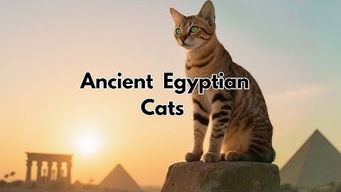Ancient Egyptian Cats – Sacred Symbols and Protectors