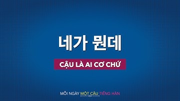 Học tiếng Hàn 2021 | MỖI NGÀY MỘT CÂU TIẾNG HÀN [네가 뭔데]