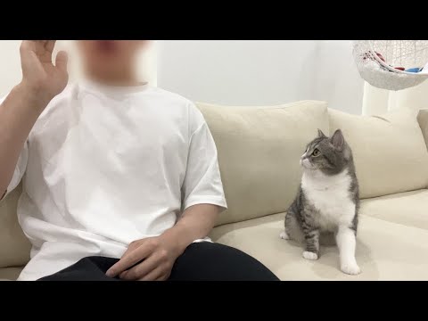 すぐ隣にいるのに名前を呼び続けたら猫の反応がかわいすぎましたw