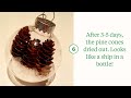 5 CREATIVE WAYS TO FILL CLEAR CHRISTMAS ORNAMENTS
