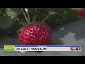 Small business spotlight michael lynn farm in arc.ale