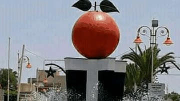 سورةالتكاثر