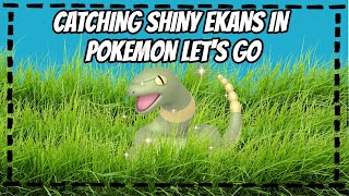 Catch Combo: Shiny Ekans -  Pokemon Let's Go