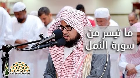 تلاوة عذبة لآيات من سورة النمل بصوت زايد العطية