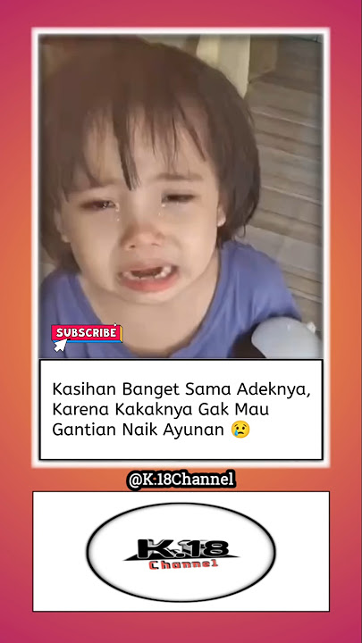 Kasihan Ya Sama Adeknya 😢 Kalau Sudah Begini Siapa Yang Mau Disalahkan? 😭 #shortvideo #kucing #cat