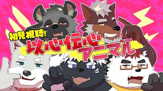 【初見視聴】以心伝心歌ってみた-アニマル-【志柴不吠斑】