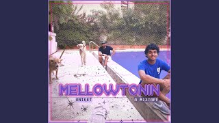 Video thumbnail of "Aniket - Mellowtonin (feat. Jujhar)"