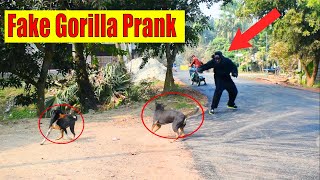 Fake Gorilla Vs Dog Prank Video | Can Not Stop Laugh-Dog Funny Reaction Must Watch New Prank Video