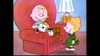 MetLife Peanuts Commercial