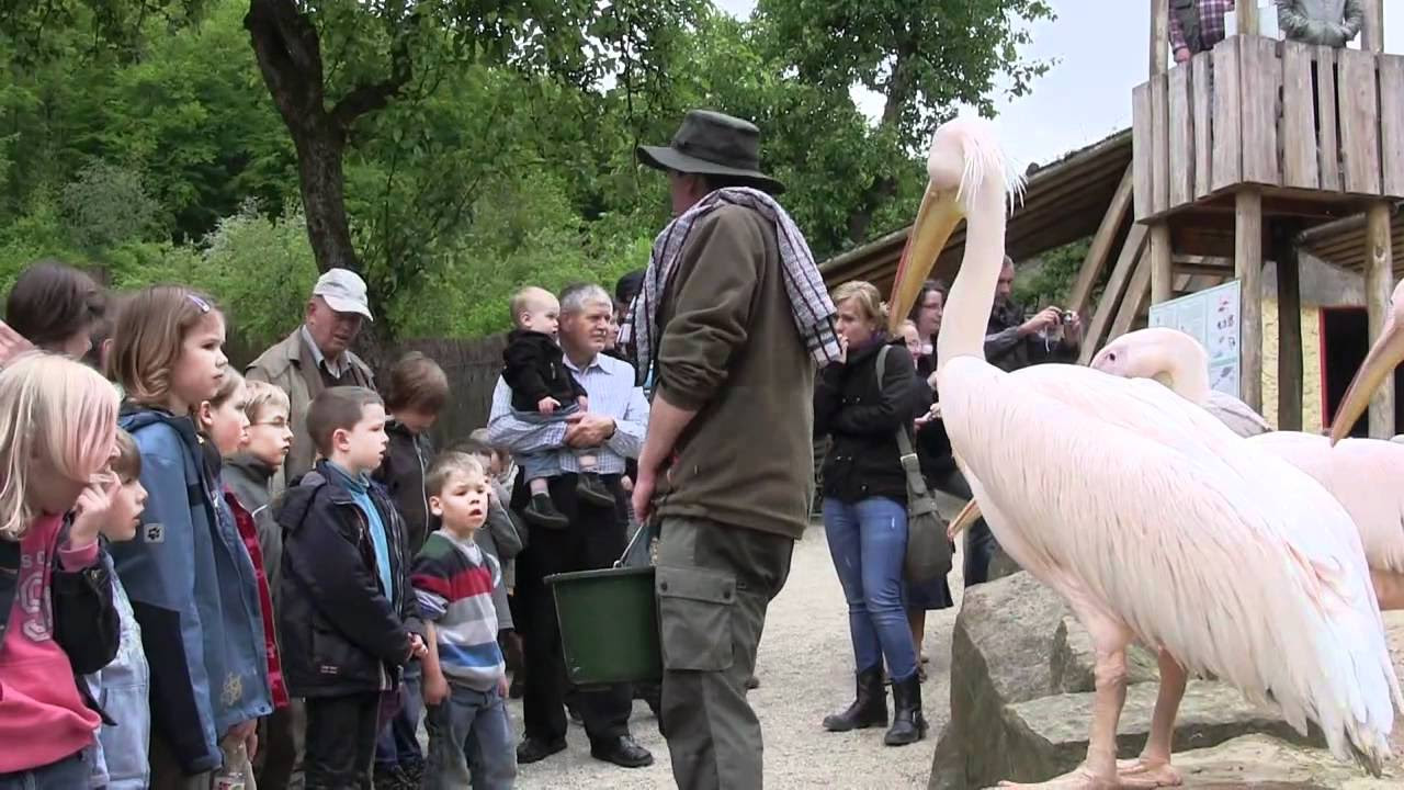 Korn das in die Erde  Posaunenchor CVJM Detmold Heiligenkirchen