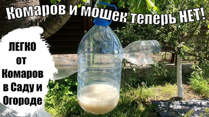 Как сделать своими руками ловушку для комаров | Komarolov | Дзен