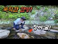 넣는 순간 사정없이 덤빈다 이렇게 생긴 구멍에 민물장어가 들어있습니다 넣는 순간 사정없이 덤빈다 이렇게 생긴 구멍에 민물장어가 들어있습니다
