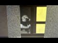 Ye am selling my apartment! (horro)