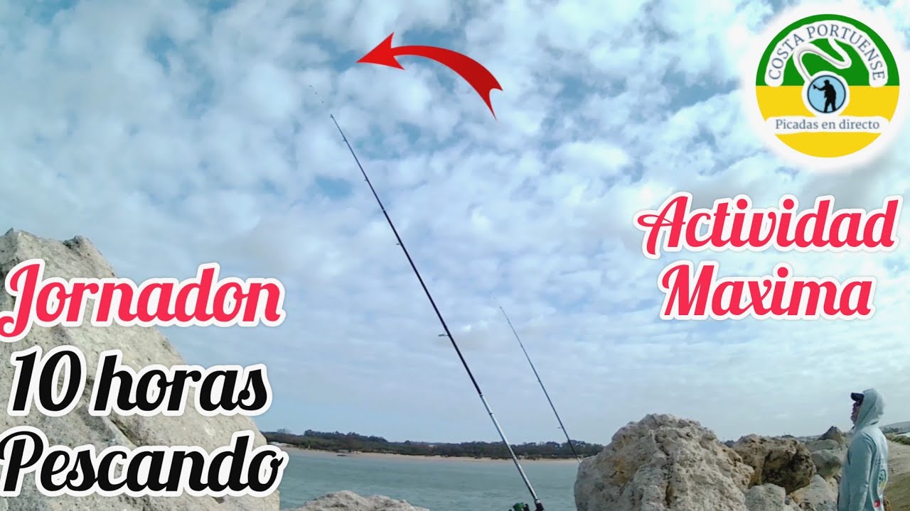 Jornadon de 10 horas pescando actividad maxima