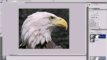 Photoshop CS4 Layer Masks Tutorial