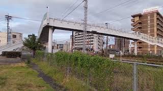 381系　特急やくも23号　出雲市行き　倉敷駅付近の踏切にて