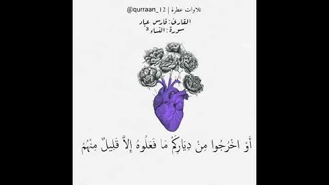 حالات وتس اب من سورة النساء